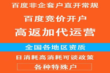 竞价开户策略：成功案例解读